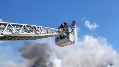 Foc