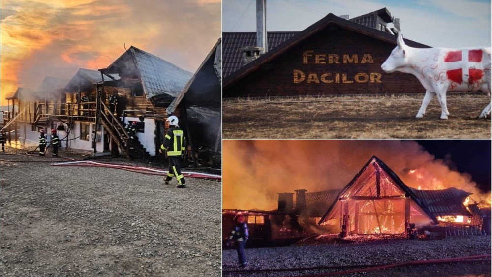 Ferma Dacilor