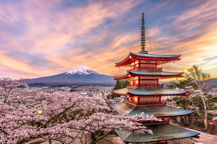 Spectacolul Sakura