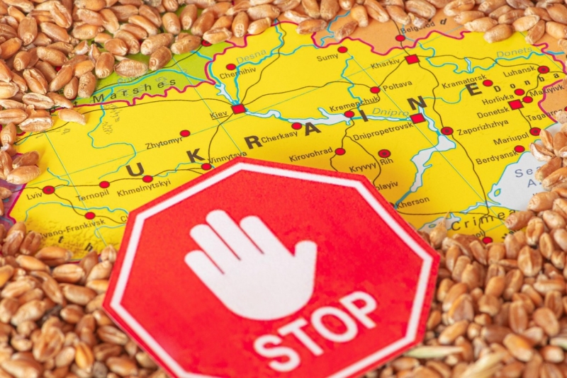 Situația pentru Ucraina este complicată: Europa își respinge cerealele, după protestele pe scară largă ale agricultorilor 1 media 169506075929902300