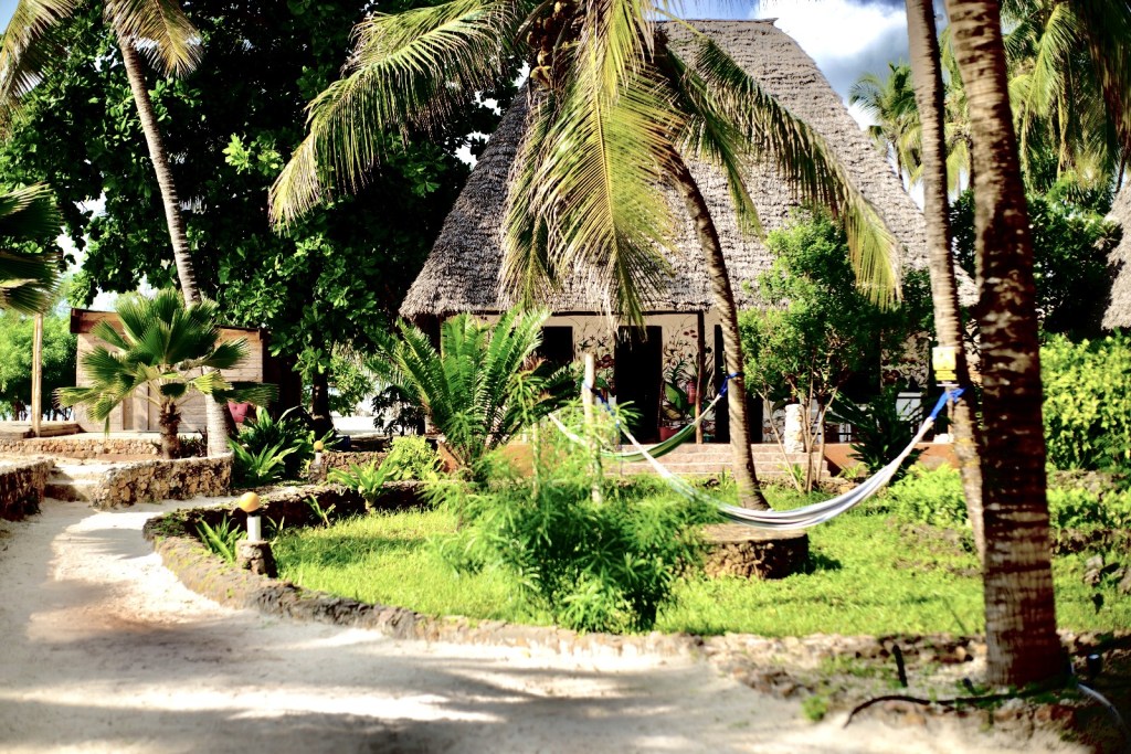 Cum au ajuns românii să aibă hoteluri în Zanzibar. Investitor: „Nu este nicio legătură cu Europa, e fix ca în România din anii 1990” 1 zanzibar 4