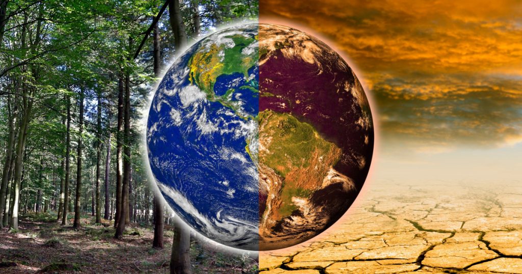 Cum influențează schimbările climatice economia globală: perspective și soluții actuale