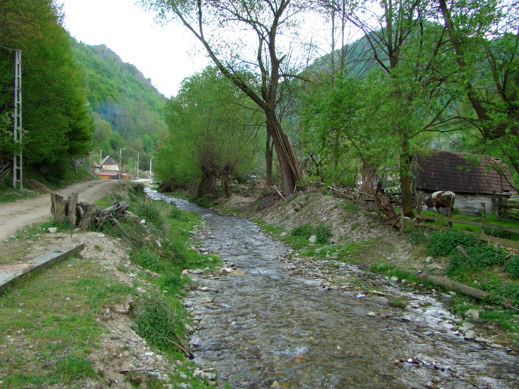 RO AB Lunca Larga 4