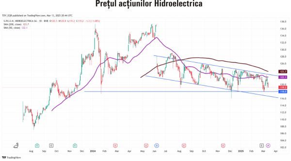 TradeVille: Hidroelectrica aşteaptă profituri în scădere