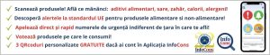 Sorin Mierlea - InfoCons