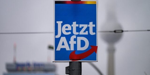 AfD cere noi alegeri generale în Germania după eșecul lui Merz