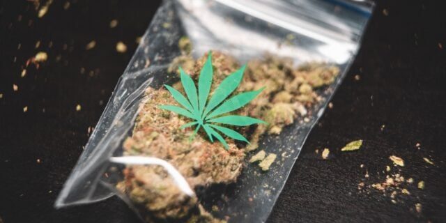 Doi bărbați reținuți pentru introducerea ilegală a 17 kg de cannabis în țară destinat vânzării pe litoral