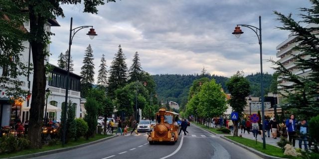 Ursul care a tulburat liniștea Mănăstirii Sinaia: Autoritățile emit un mesaj de avertizare