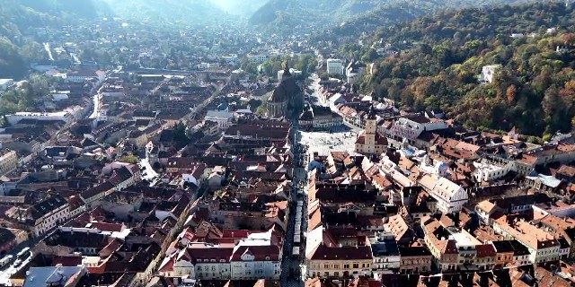 Dosar penal deschis la Brașov după ce un copac a căzut peste doi oameni, provocând un deces - Procurorii cer expertize