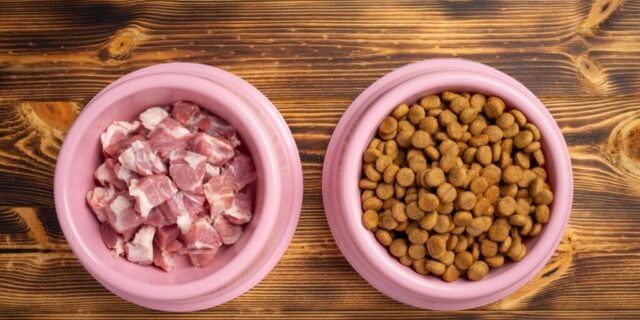 Dieta BARF pentru animale de companie: Beneficii, riscuri și recomandări de la medicii veterinari