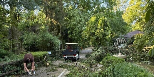 ### Grădina Zoologică Bucureşti închide temporar după furtuna devastatoare