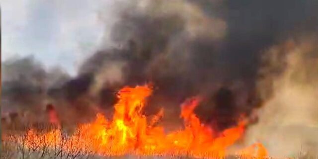 Incendiu devastator în Parcul Național Munții Rodnei: Pompierii de la ISU Bistrița-Năsăud și Maramureș intervin de urgență