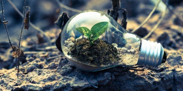 Investițiile în natură: o oportunitate crucială pentru UE în era sustenabilității
