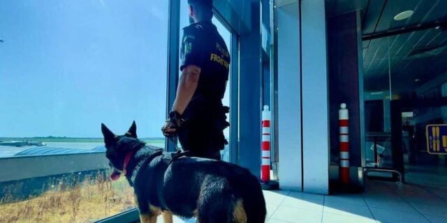 17 migranți din Asia și Africa, capturați la Calafat: Planul lor de a sari gardul stației de taxare a eșuat, dar au fost salvatori neașteptați
