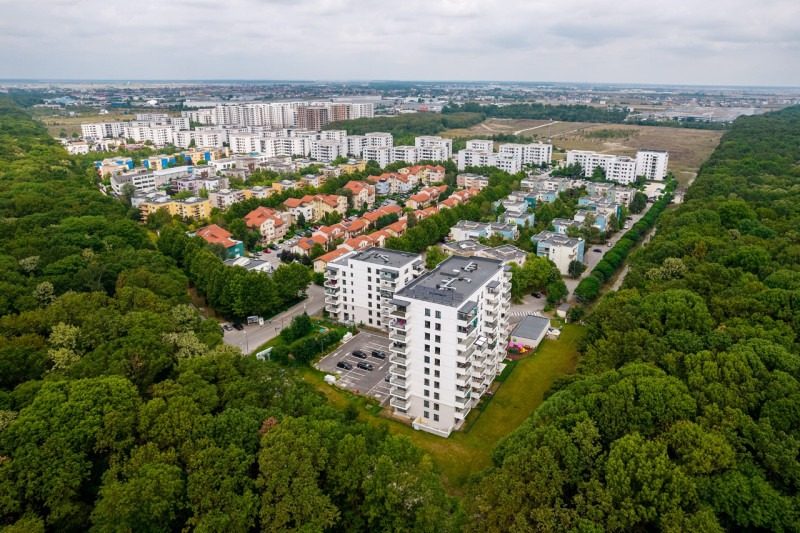 SCRISOARE DESCHISĂ Către: Doamna Diana Buzoianu, Ministra Mediului, Apelor și Pădurilor,