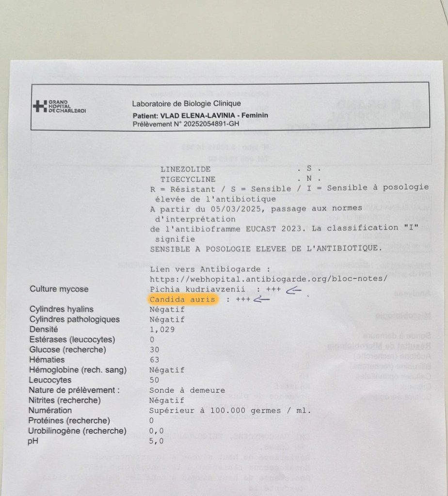 doc 2