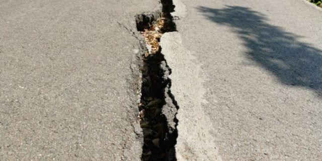 Lucrări de urgență în Parcul Herăstrău pentru siguranța aleilor