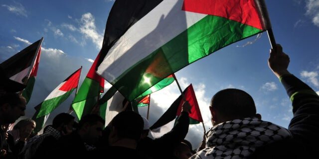 Institutul "Elie Wiesel" demască dezinformările legate de protestele pro-Palestina și implicarea cu Jandarmeria