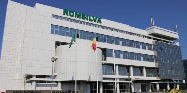 Romsilva a emis deciziile de încetare a contractului de muncă pentru patru pădurari condamnați pentru furt de lemne