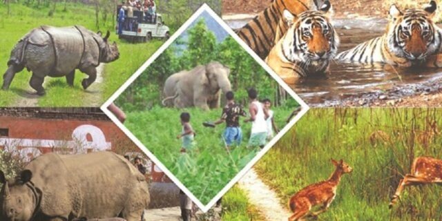 Până în 2070, interacțiunile dintre oameni și animale vor fi la cote alarmante: un raport previzionat