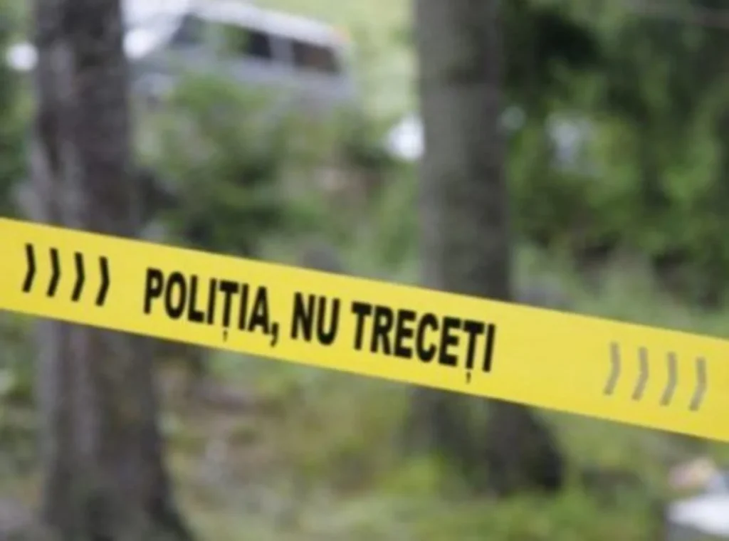 Reacția DGASPC Timiș în cazul criminalului de 13 ani din Cenei