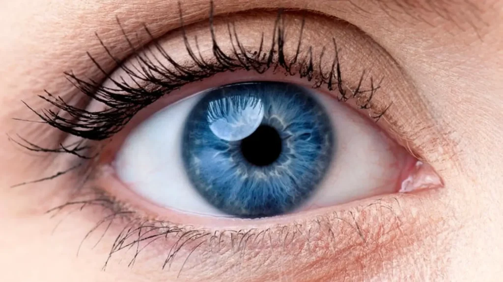 Cercetătorii descoperă cum glandele lacrimale umane pot fi create în laborator pentru a studia sindromul de ochi uscat