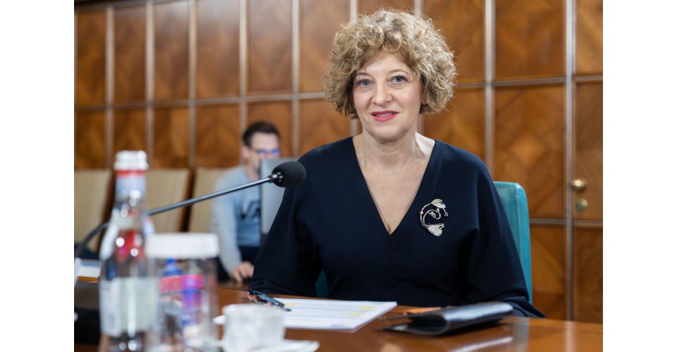 Reforma Companiilor de Stat în România: Realitatea Despre Performanță și Eficiență