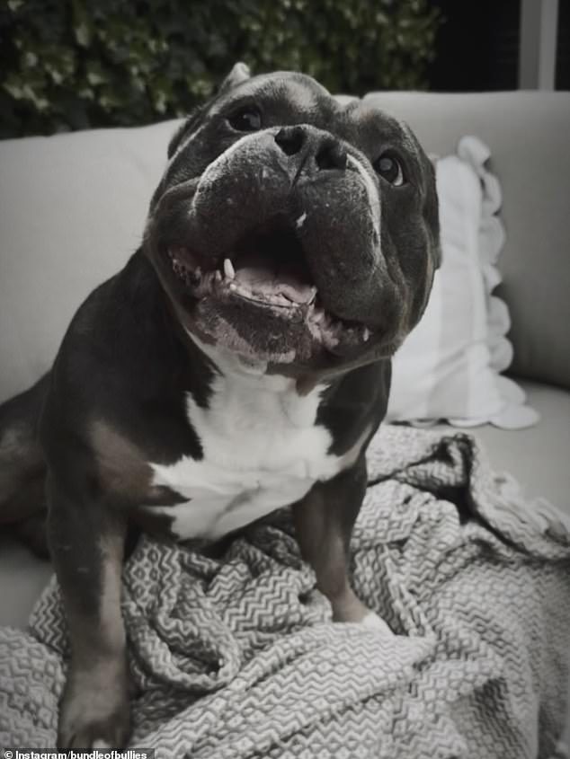 In an emotional social media post she shared on Thursday, Peeters explained she was abroad when she received a devastating call from the doggie daycare telling her that Raffie had a heart attack