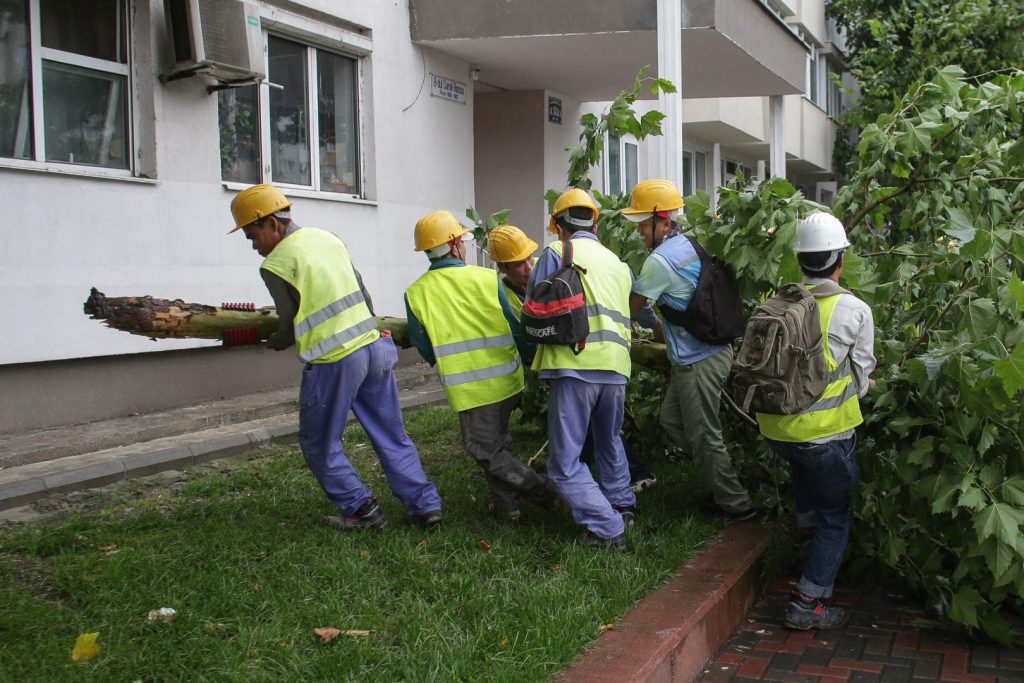 Monopolul pe piața muncitorilor străini din România: Ce presupune și care sunt consecințele