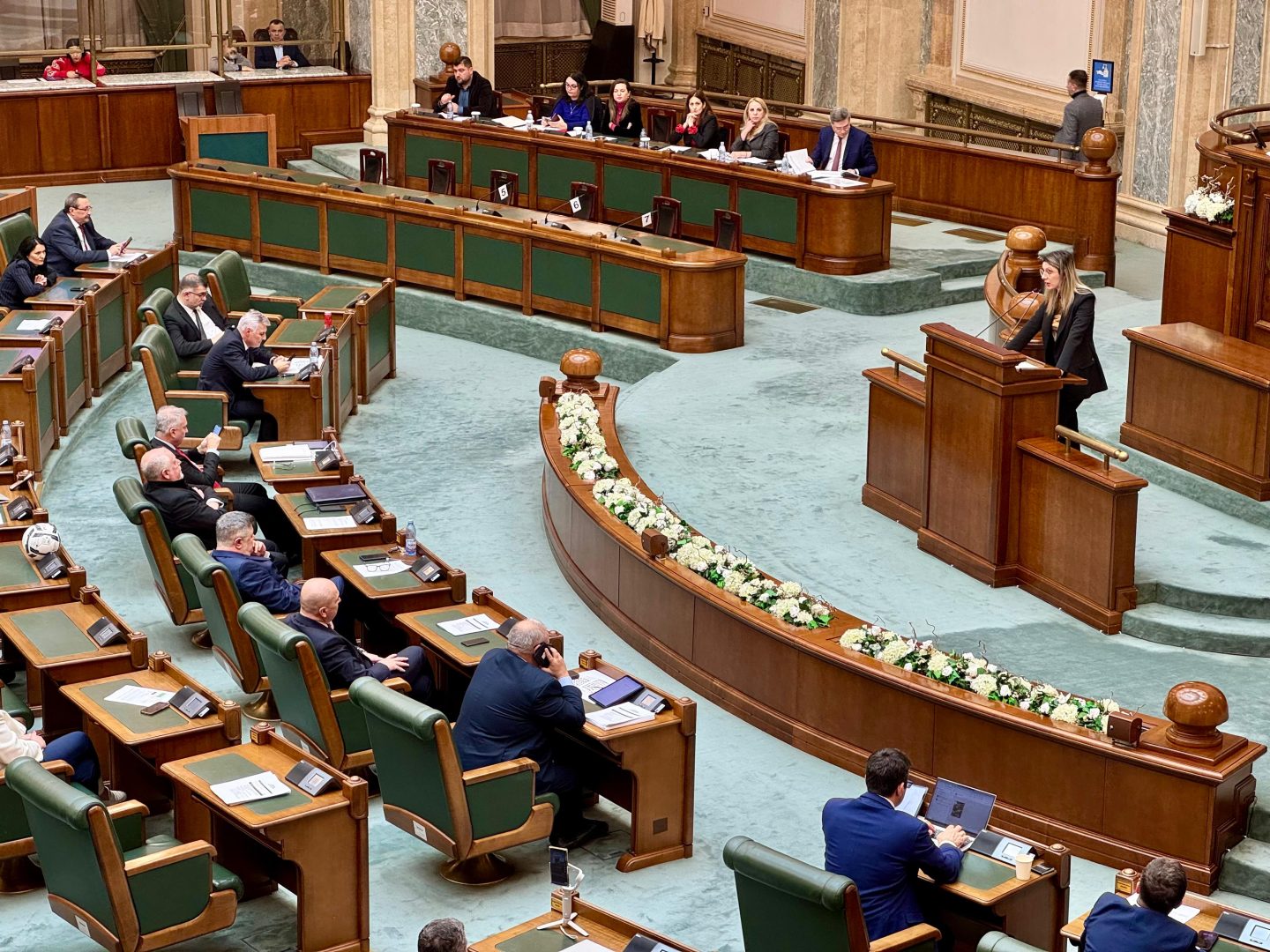 WhatsApp Image 2025 12 15 at 16.50.52