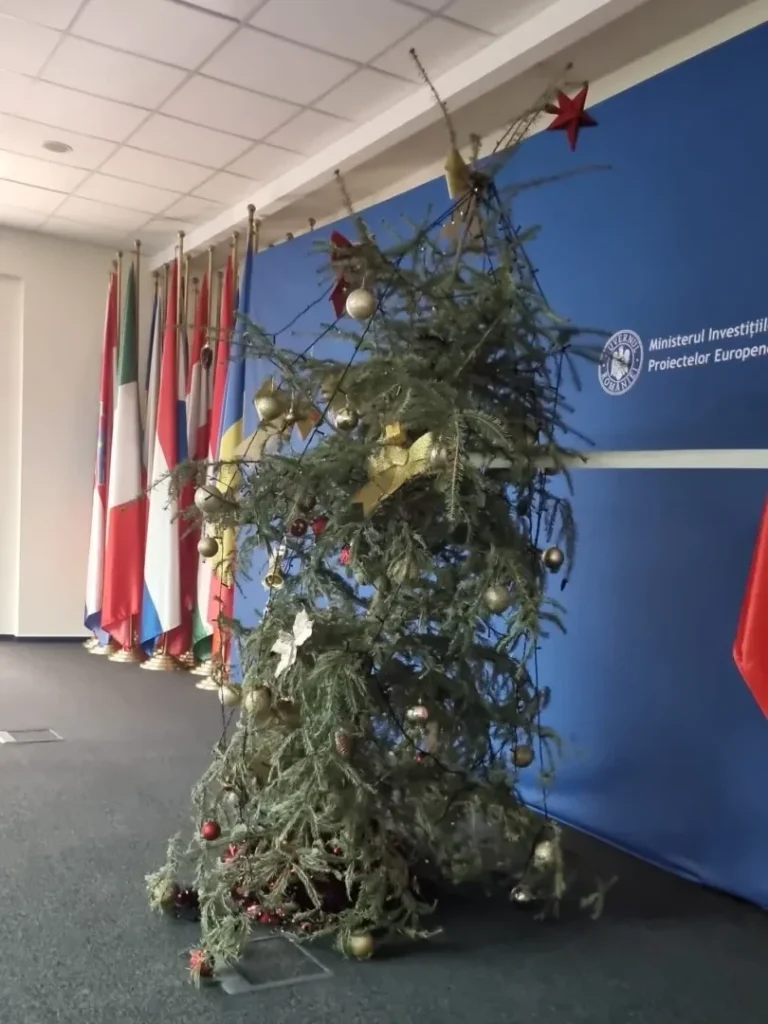 Redactare SEO: Bradul de Crăciun de la MIPE, criticat de Eugen Orlando Teodorovici