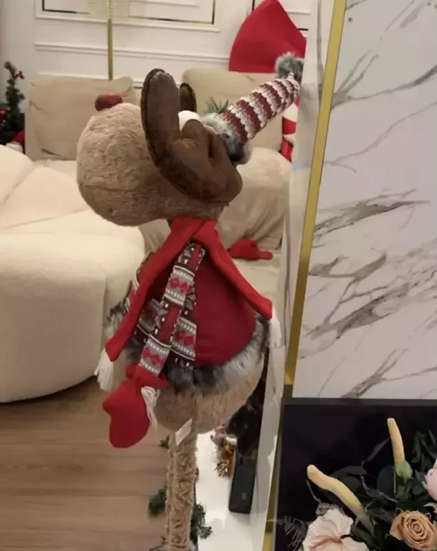 Decorul de Crăciun din casa Oanei Radu: cum a transformat artista locuința într-un adevărat tărâm de iarnă