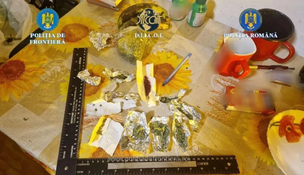 Racolarea și reținerea traficanților de droguri din nordul țării: Operațiunea poliției și procurorilor