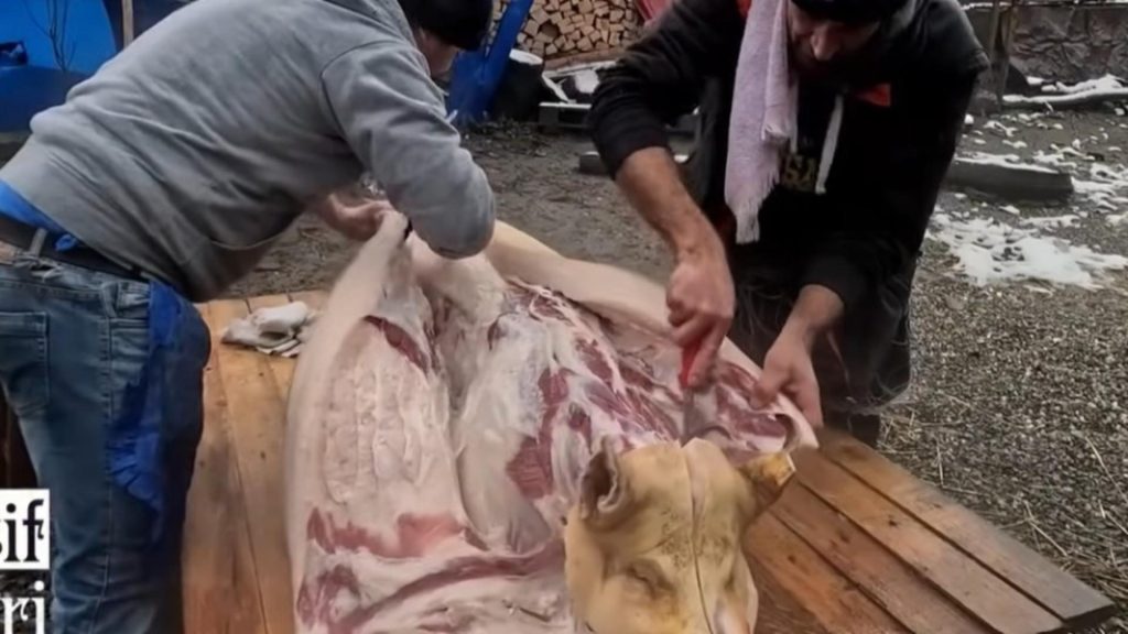 Tradiția tăiatului porcului în comuna bistrițeană Runcu Salvei: o poveste de devotament și comunitate