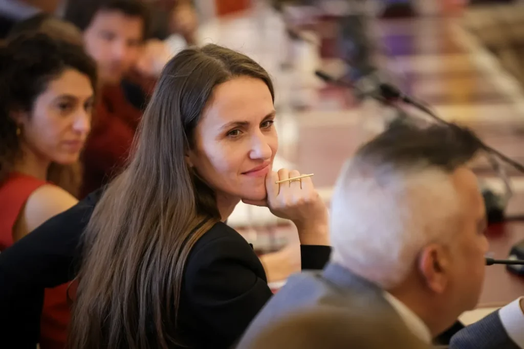 Oana Țoiu la Conferința Internațională Snow Meeting de la Vilnius: Prioritățile României pentru Summitul NATO