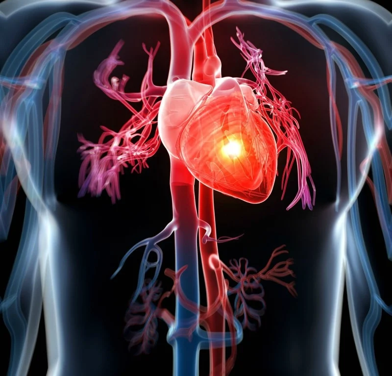 Importanța mamografiei în diagnosticarea riscurilor cardiace majore