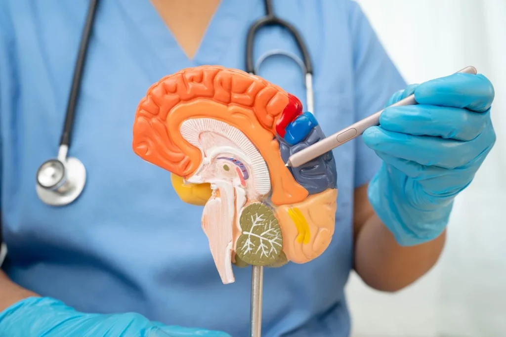 Studiu: Cum se încetinește pierderea memoriei în boala Alzheimer