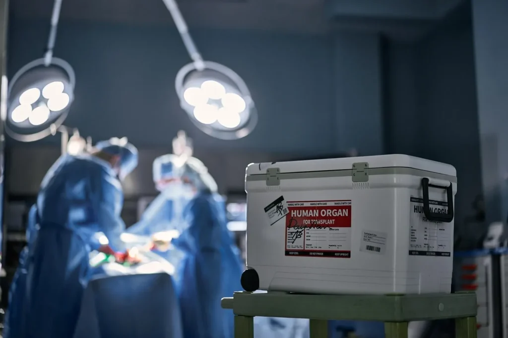 Descoperire-cheie în transplanturi: Cum epuizarea celulelor T poate duce la toleranță fără slăbirea imunității