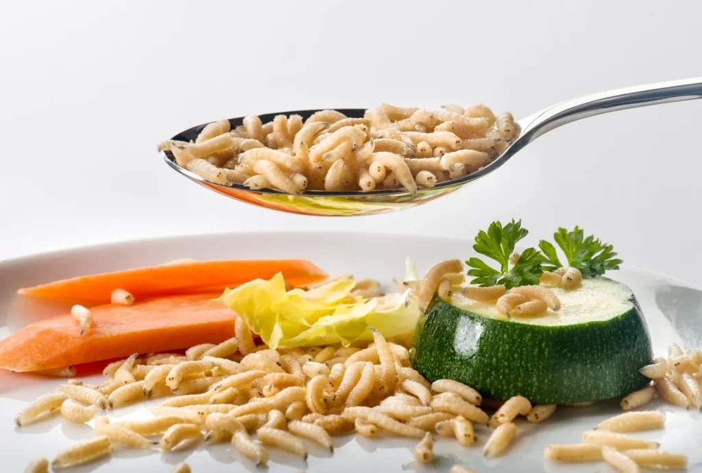 Consumul de insecte: de ce mulți oameni ezită să le includă în dietă