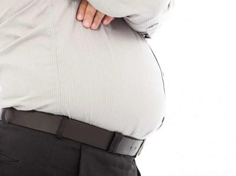 Impactul grăsimii corporale asupra sănătății creierului: Cum locul de depunere influențează riscul de deteriorare