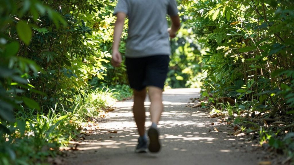 Persoană mergând pe un drum înconjurat de natură.