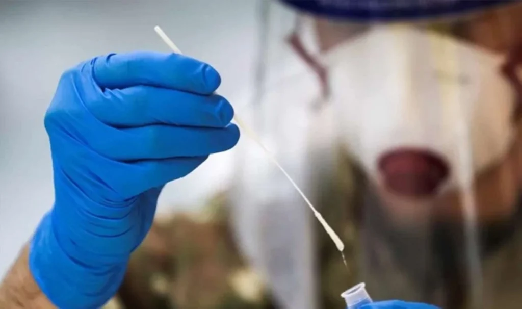 Descoperirea unui virus nou și periculos transmis de lilieci în Bangladesh