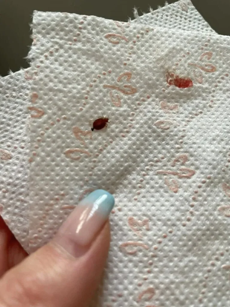 Descoperirea șocantă a unei familii de turiști la Predeal: Ce au găsit în camera de cazare