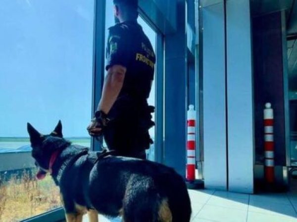 17 migranți din Asia și Africa, capturați la Calafat: Planul lor de a sari gardul stației de taxare a eșuat, dar au fost salvatori neașteptați