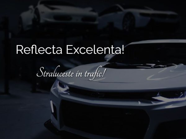 perfect detailing auto