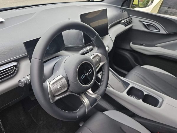 BYD-Dolphin-Surf-la-interior.jpg