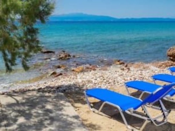 Bugetul-unei-familii-cu-doi-adul--i---i-un-copil---n-Thassos-----La-so--ie-nu-m---bag--Are-banii-ei---i-face-ce-vrea----.jpg