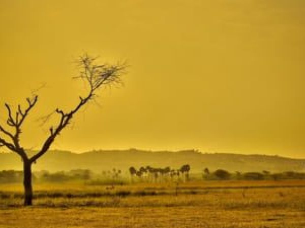 Europa-poate-s---fie-lovit---de-o-adev--rat---catastrof---climatic----Mai-multe-----ri-se-tem-c---ar-putea-r--m--ne-f--r---ap--.jpg