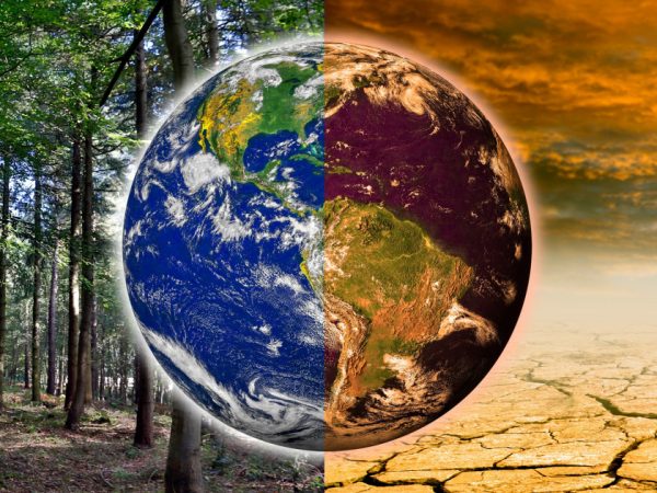 Cum influențează schimbările climatice economia globală: perspective și soluții actuale