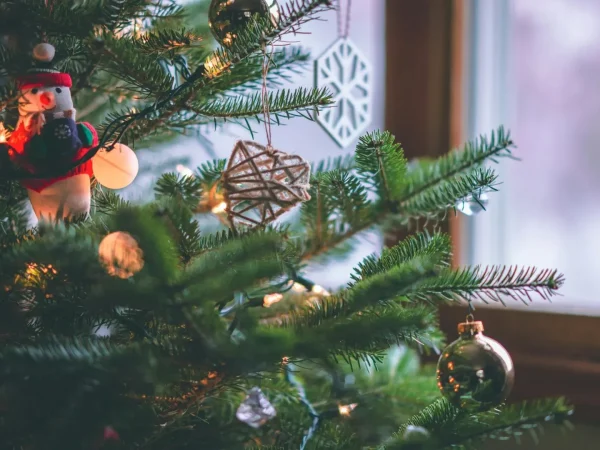 Beneficiile extraordinare ale bradului natural de Crăciun